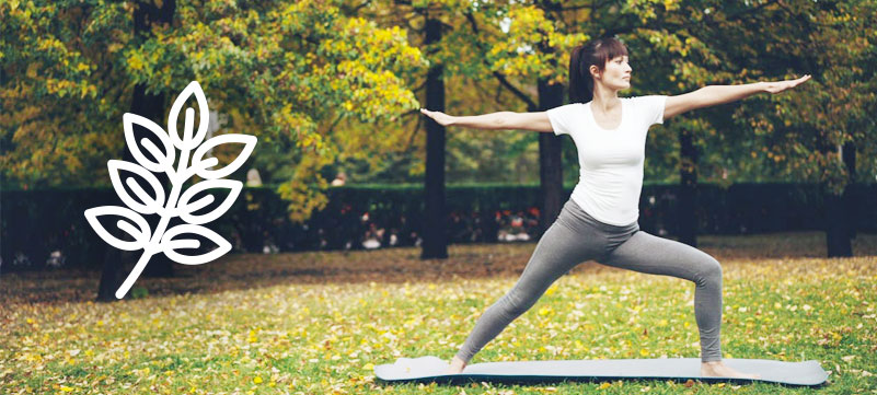 Evento Tai-chi y Chakra Ecuador